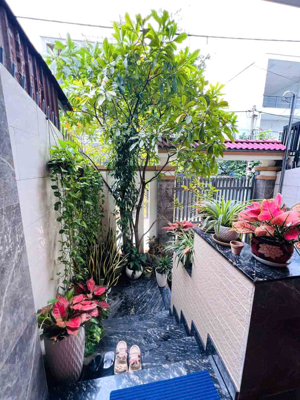 Siêu Phẩm 4Tầng Mới Đẹp Thang Máy Hẻm 6m 100m2 Gần Phạm Văn Đồng Linh Đông Thủ Đức Chỉ 12.5 tỷ - Ảnh 2